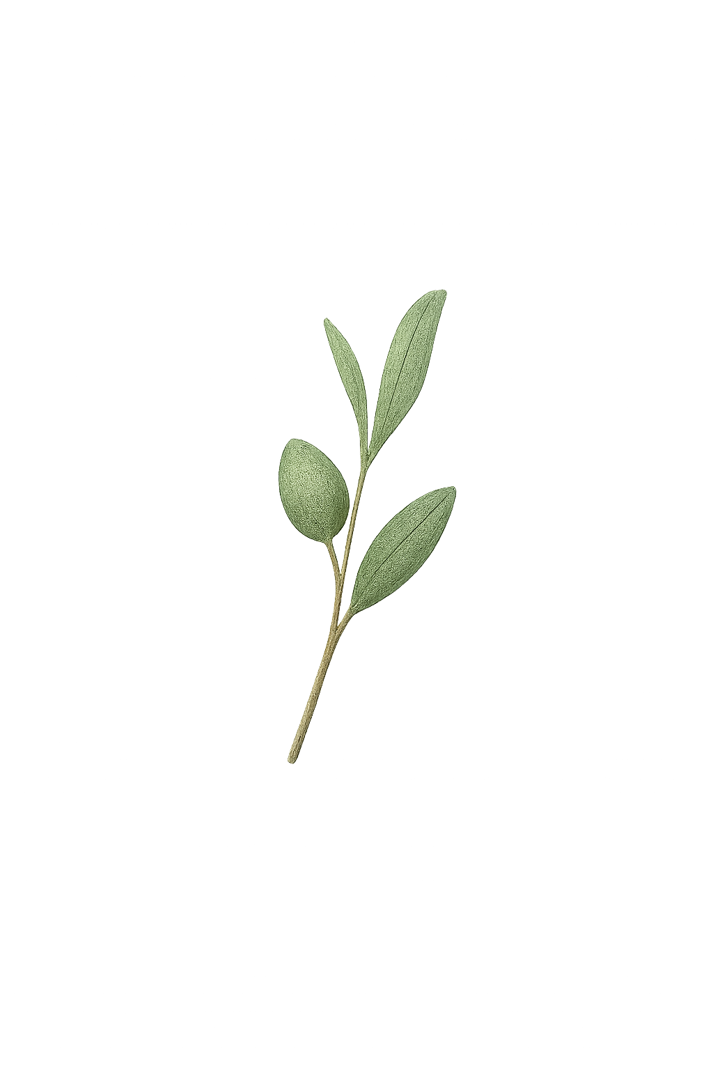 Feuille décorative